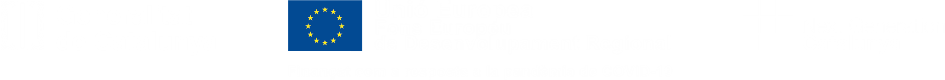 Fons Europeu